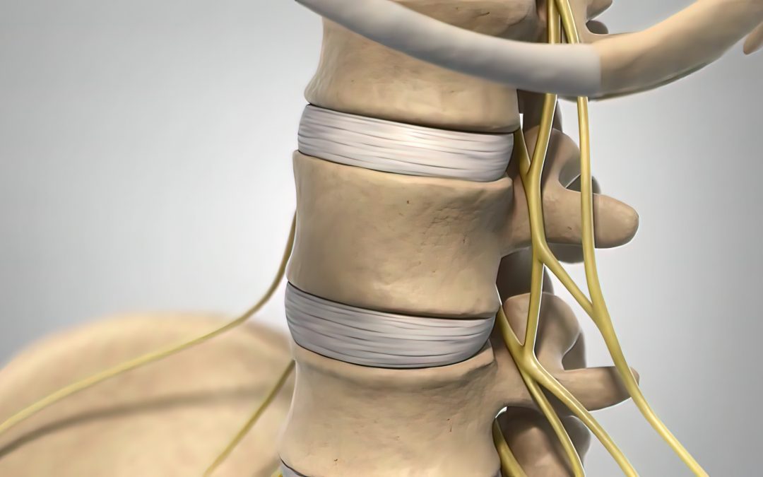 Discussing a Medial Branch Block